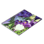 Crocus de printemps - carnet (Côté gauche)