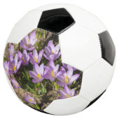 Crocus de printemps mignons (3/4)