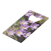 Crocus de printemps mignons (Devant Angle)