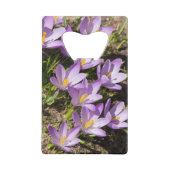 Crocus de printemps mignons (Dos)