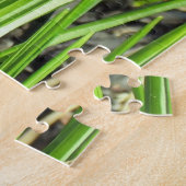 Crocus de printemps - puzzle (Côté)