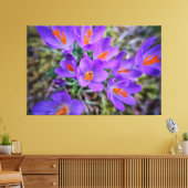 Crocus Fine Art Canvas Afdruk (Insitu (Woonkamer))