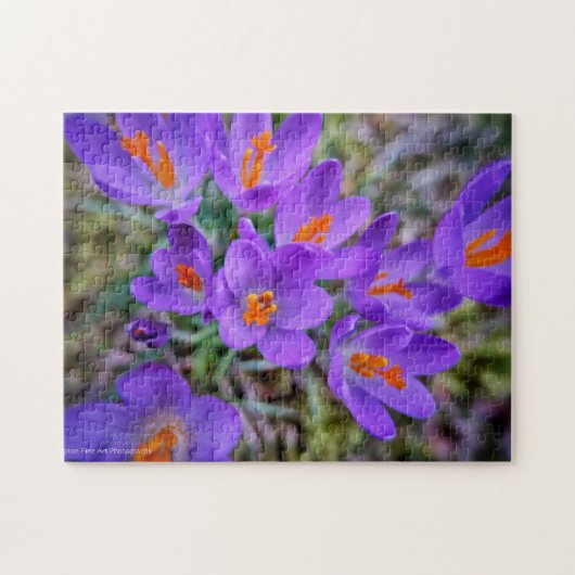 Crocus Fine Art Legpuzzel (Horizontaal)