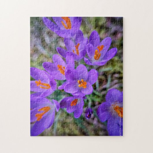 Crocus Fine Art Legpuzzel (Verticaal)
