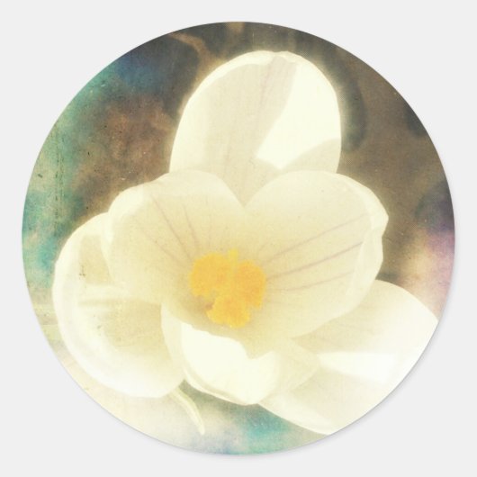Crocus Flower Grunge Ronde Sticker (Voorkant)