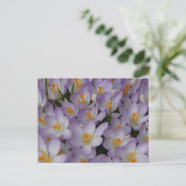 Crocus Flowers Motif do-it-yourself carte postale (Debout devant)