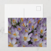 Crocus Flowers Pattern DIY Briefkaart (Voorkant / Achterkant)