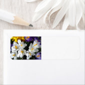 Crocus Flowers Spring Mix Etiket (Insitu)