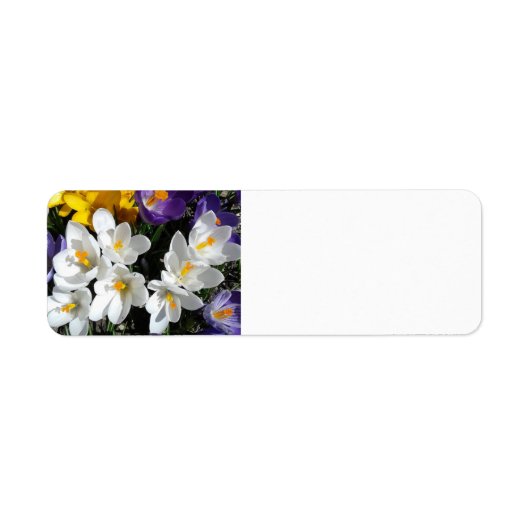 Crocus Flowers Spring Mix Etiket (Voorkant)