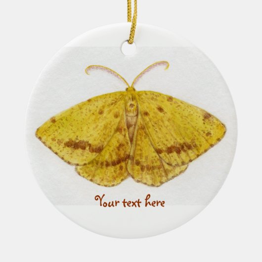 Crocus Geometer Moth Ornament (Voorkant)