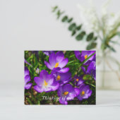 Crocus Lilas Pensées pour toi Carte postale (Debout devant)
