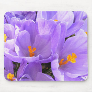 Crocus Mousepad Muismat