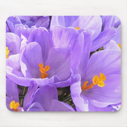 Crocus Mousepad Muismat (Voorkant)