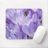 Crocus Muismat (Met muis)