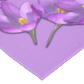 Crocus nappes Fleurs de Pâques Crocus nappes (Angle)