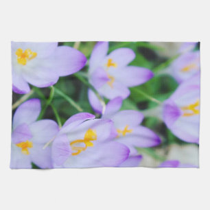Crocus pourpre printanier fleurit Serviettes de cu