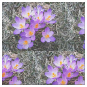CROCUS PREMIERS SIGNES DE Tissu PRINTEMPS (Fermer)