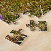 Crocus Puzzle Abruzzo Gran Sasso Italie. (Côté)