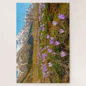 Crocus Puzzle Abruzzo Gran Sasso Italie. (Vertical)