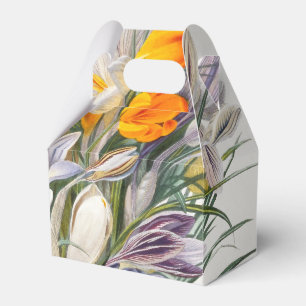Crocus Spring Flower Botanische Bloemkunst Bedankdoosjes