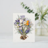 Crocus Spring Flower Botanische Bloemkunst Briefkaart (Staand voorkant)