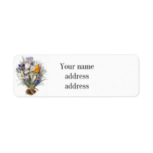 Crocus Spring Flower Botanische Bloemkunst Etiket