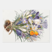 Crocus Spring Flower Botanische Bloemkunst Inpakpapier Vel (Voorkant)