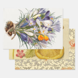 Crocus Spring Flower Botanische Bloemkunst Inpakpapier Vel