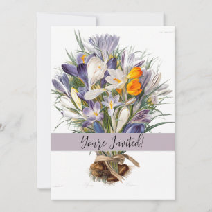 Crocus Spring Flower Botanische Bloemkunst Kaart