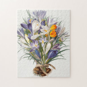 Crocus Spring Flower Botanische Bloemkunst Legpuzzel