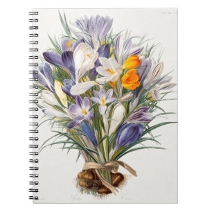 Crocus Spring Flower Botanische Bloemkunst Notitieboek