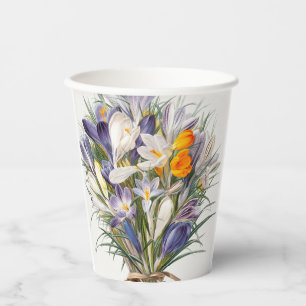 Crocus Spring Flower Botanische Bloemkunst Papieren Bekers