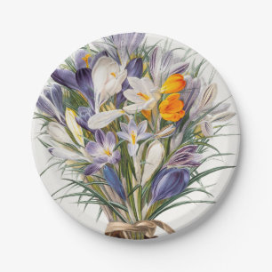 Crocus Spring Flower Botanische Bloemkunst Papieren Bordje
