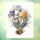 Crocus Spring Flower Botanische Bloemkunst Raamsticker (Vel 3)