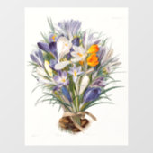 Crocus Spring Flower Botanische Bloemkunst Raamsticker (Vel)