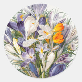 Crocus Spring Flower Botanische Bloemkunst Ronde Sticker