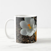 Crocus Trio, CEHiday Koffiemok (Links)