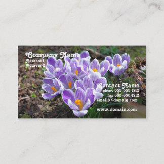 Crocus Visitekaartje
