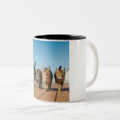 Croisière aventurière en chat Mug (Devant droit)