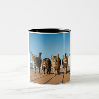 Croisière aventurière en chat Mug