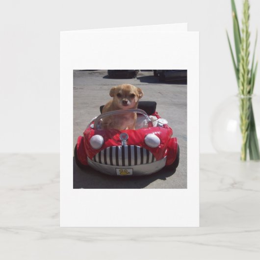 Croisière par des cartes (Devant)