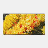 Croissance en or (Recto)