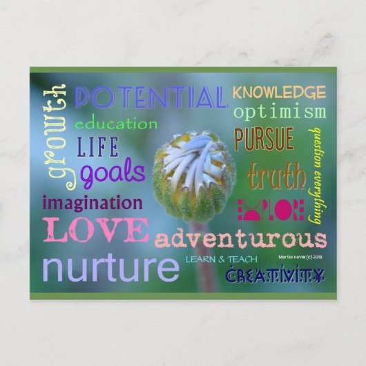 Croissance potentielle | Carte postale Blue Beach  (Devant)