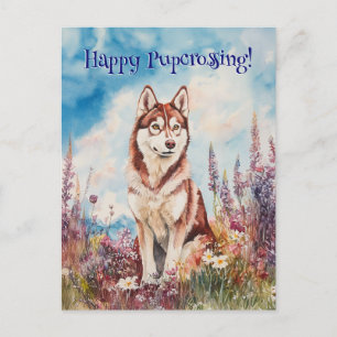 Croix-Rouge Sibérienne Husky - Carte postale