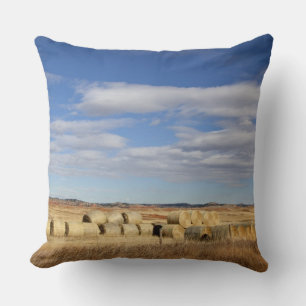 Crook County, Hay Bales Kussen