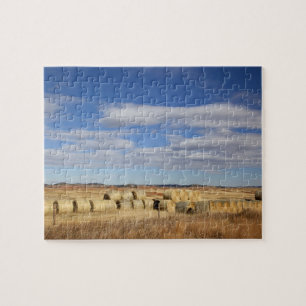 Crook County, Hay Bales Legpuzzel