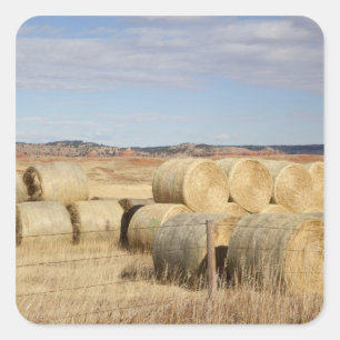Crook County, Hooibalen Vierkante Sticker