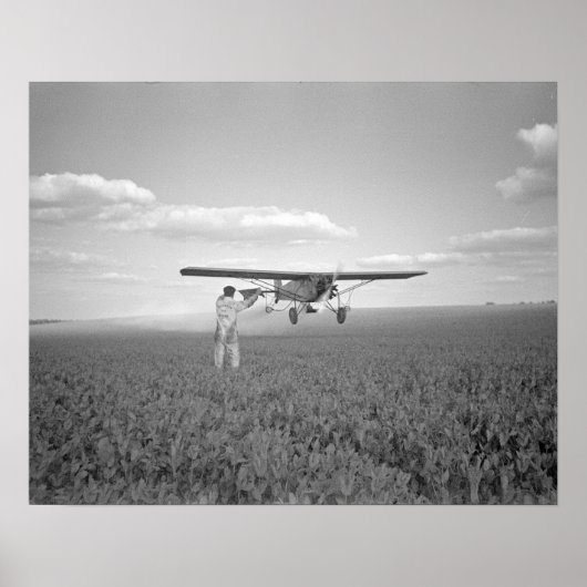 Crop Duster, 1938.  foto Poster (Voorkant)