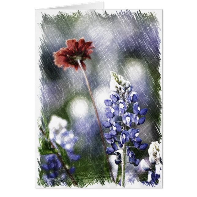 Croquis de Bluebonnet (Devant)