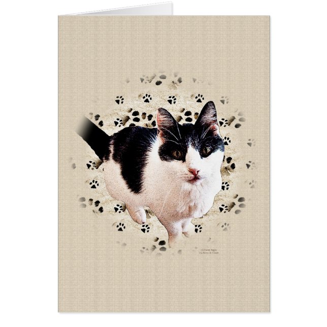 Croquis de chat numérique (Devant)